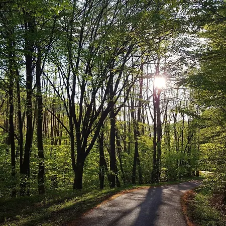 Zeleny Dom Pri Potoku 아파트 *