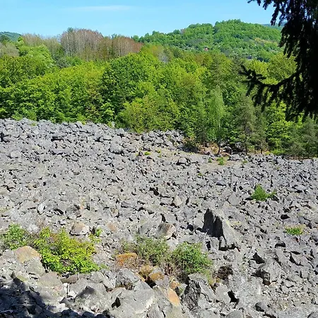 Zeleny Dom Pri Potoku Apartament